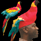 Parrot Hat 