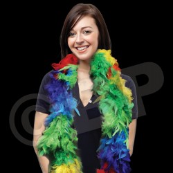 Rainbow Feather Boa 