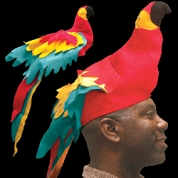 Parrot Hat 